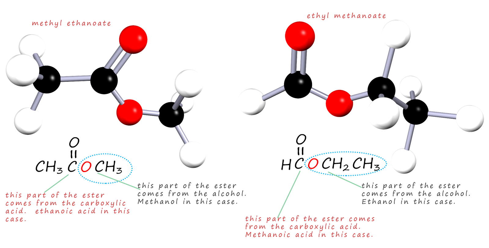 structure of the esters methyl ethanoate and ethyl methanoate